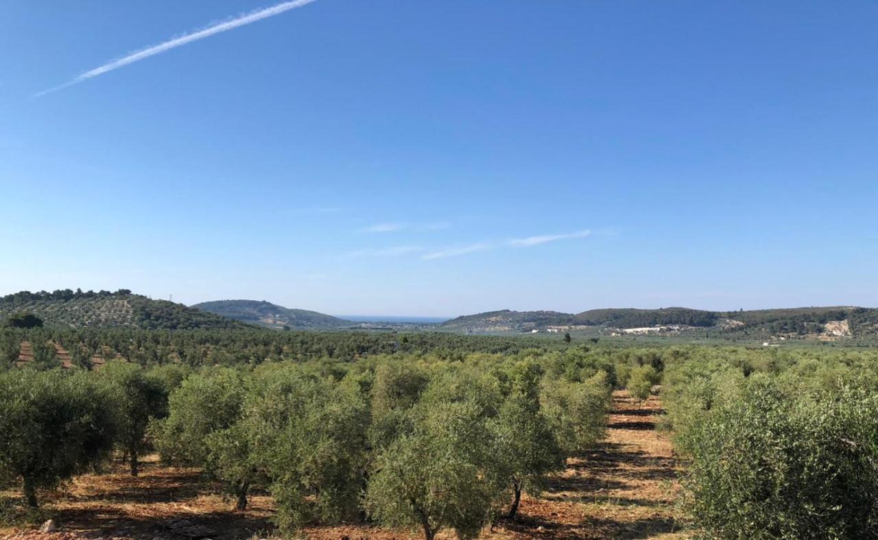 Borgo Rosoli Vieste Esterno foto
