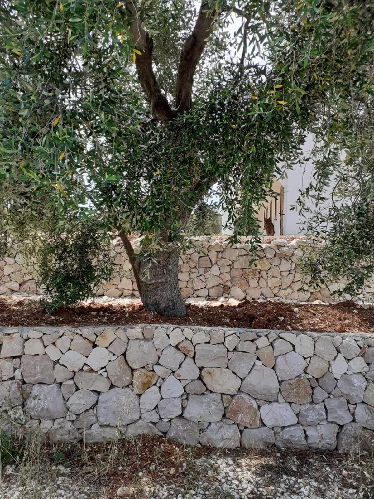 Borgo Rosoli Vieste Esterno foto