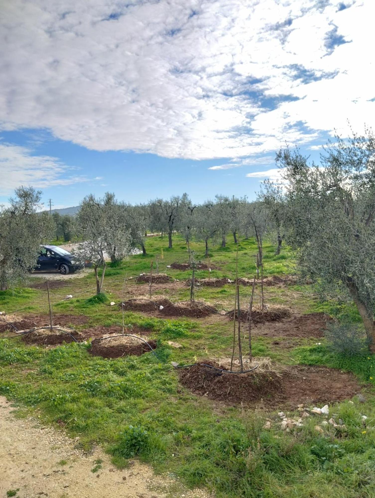 Borgo Rosoli Vieste Esterno foto
